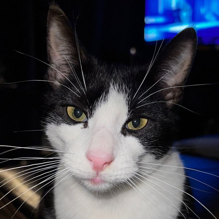 Profile Picture of David Suszynski (@david.suszynski) on Tiktok