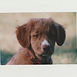 Profile Picture of Christiane Devaud (@melick mouss) on Flickr