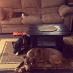 Profile Picture of Kyle Cole (@kylecole74) on Instagram