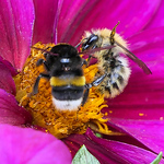 Profile Picture of Patrick.a57 (@patrick.a57) on Flickr