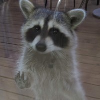 Profile Picture of Troy Osborne (@troy-osborne-7) on Quora