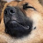 Profile Picture of olivia jade (@oliviajade) on Instagram