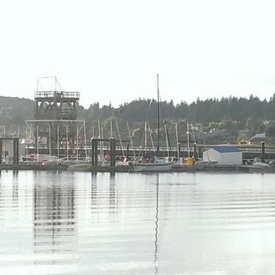 Profile Picture of Izzy Wilo (@HannaDavies14) on Twitter