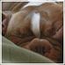 Profile Picture of Scott Pett (@scott.pett.12) on Facebook