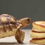 Profile Picture of Grant Pipper (@diya.ghannam.1) on Facebook