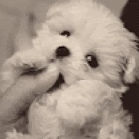 Profile Picture of Joshua Rideout 51 (student) (@joshua-rideout-51-student) on Quora