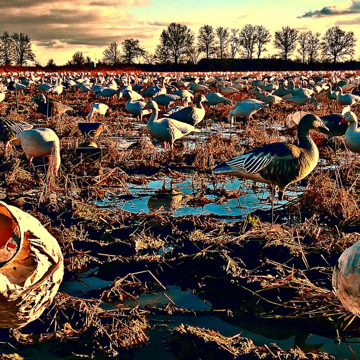 Profile Picture of Mark Spiller (@markspiller077) on Tiktok