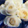 Profile Picture of marilyne.kertzmannqh (@@marilyne.kertzman) on Tiktok