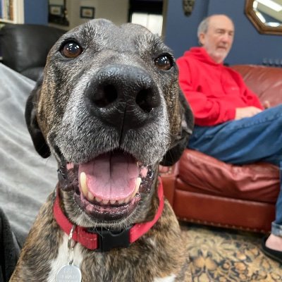Profile Picture of Paul Jarrett (@pauljarrett7) on Twitter