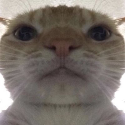 Profile Picture of Cats (@AlexanderKuna) on Twitter