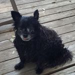 Profile Picture of Kenneth Rutledge (@kenneth.rutledge.902) on Instagram