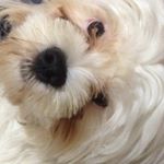 Profile Picture of Scott Mathias Carvalho (@mathias_scott) on Instagram