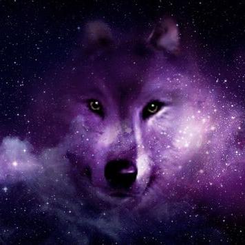 Profile Picture of Nolan Simon (@nolansimon8670) on Twitter