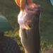 Profile Picture of Benjamin Schwab (@benjamins3436) on Pinterest