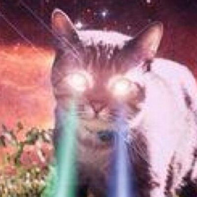 Profile Picture of Kyle (@TBGMelTed) on Twitter