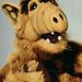 Profile Picture of Jonathan Provost (@jonathanprovost) on Pinterest