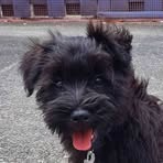 Profile Picture of Joel Tolley (@JoelsNotHuman) on Facebook