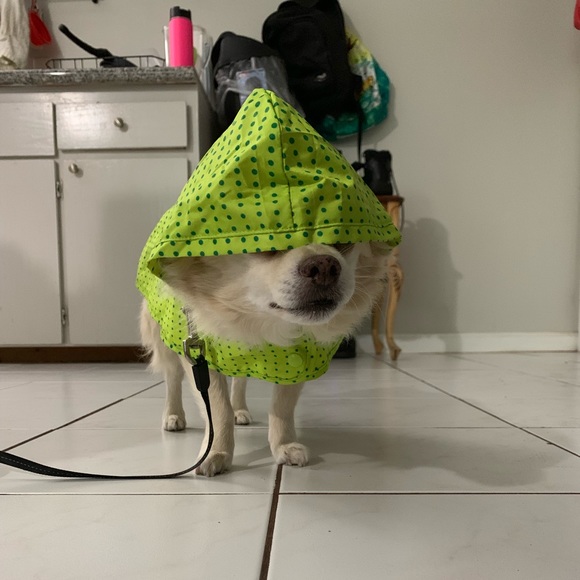 Profile Picture of Kiyori Hammerle (@emargarita2010) on Poshmark