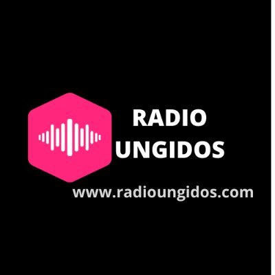 Profile Picture of Walter Hugo Sanchez, CEO De Radio Ungidos. (@radioungidos) on Twitter