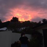 Profile Picture of Bianca Goodwin (@bianca_g_3) on Instagram