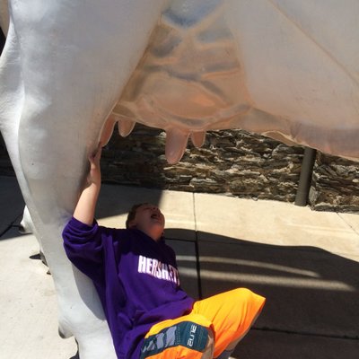 Profile Picture of Jake Scanlan (@iammoneyhoney20) on Twitter