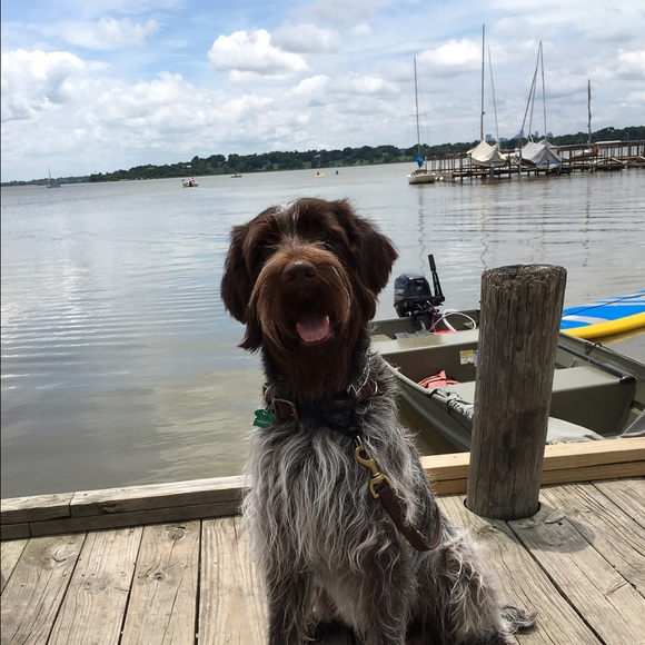 Profile Picture of Chris Dunn (@ctdunn) on Poshmark