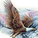 Profile Picture of Kevin Ruddy (@eaglebald55555) on Instagram