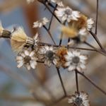 Alexander - Instagram Profile Picture of Alexander (@laskowski_photo_media) on Instagram