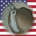 Profile Picture of Raymond Coffey (@raymond.coffey2) on Facebook