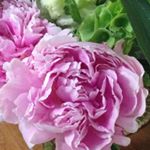 Profile Picture of Catherine Ranger (@cranger907) on Instagram