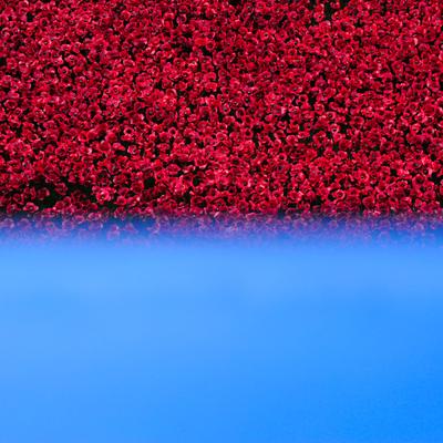 Profile Picture of Geoff Power (@Graphik_Photos) on Twitter