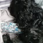 Profile Picture of Jefferson Hutt (@jefferson.hutt.9) on Facebook