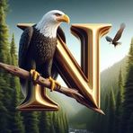 Profile Picture of Nader Radwan (@Nader-Radwan) on Facebook