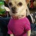 Profile Picture of Lorrie Pulliam (@lorrie.pulliam.98) on Facebook