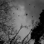 Profile Picture of pourabedini_maryam_ (@pourabedini_maryam_) on Instagram