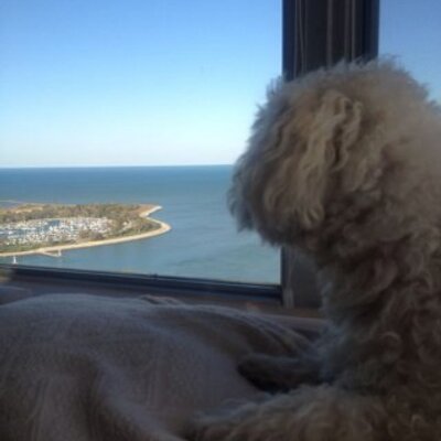 Profile Picture of Steven Licht (@StevenLicht) on Twitter