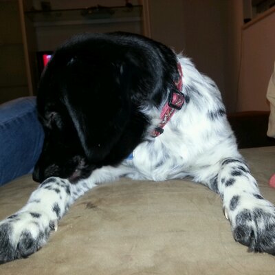 Profile Picture of Miriam Springer (@mimmie1968) on Twitter