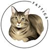 Profile Picture of Attica (@fattica19) on Tiktok