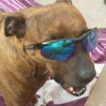 Profile Picture of Charmaine Gormley (@gormleycharmaine) on Instagram