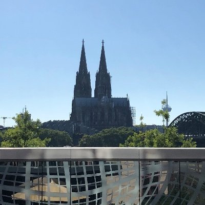 Profile Picture of Steven Malm (@StevenMalkowski) on Twitter