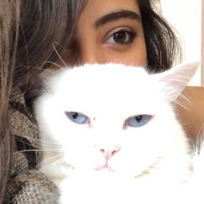 Profile Picture of Rana Cheaito (@ShaytoRana) on Twitter