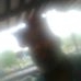 Profile Picture of Roy Word (@roy.word.357) on Facebook