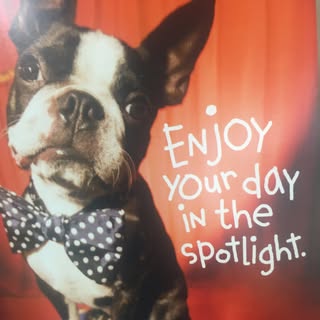 Profile Picture of Kirby Weaver (@kirby_weaver) on Instagram