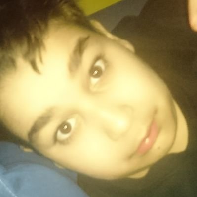 Profile Picture of Michael Jankovic (@MichaelJankovic) on Twitter