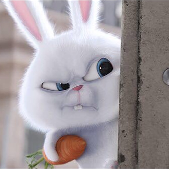 Profile Picture of Lorena Wong (@_lorenaw) on Poshmark