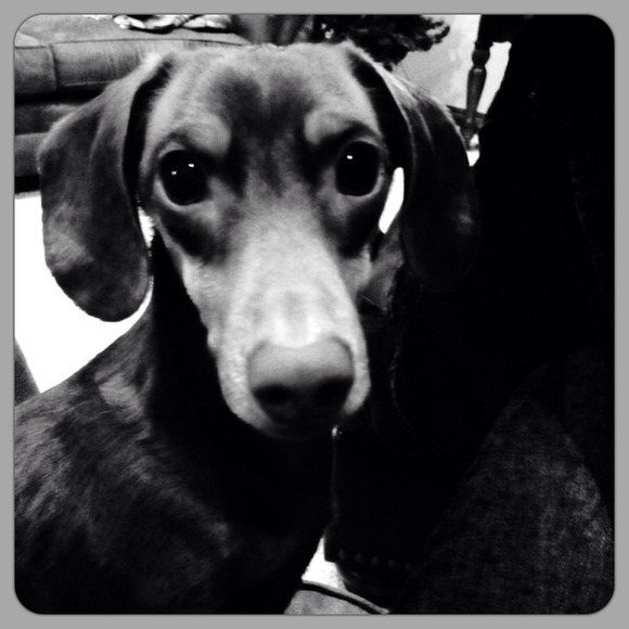 Profile Picture of Amy Nemecek (@nemeceka) on Poshmark