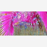 Profile Picture of alfredo_duncany (@alfredo_duncany) on Instagram