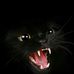 Profile Picture of Carl Spark (@carl.spark.79) on Facebook