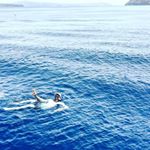 Profile Picture of 𝐏𝐚𝐮𝐥 𝐑𝐞𝐲𝐧𝐨𝐥𝐝𝐬, 𝐀𝐈𝐀 (@paulrey27) on Instagram