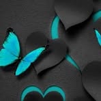 Profile Picture of Laura McCurry (@Laura-McCurry) on Facebook